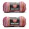 2 Pack Red Heart® Super Saver® Bitty Stripes™ Yarn